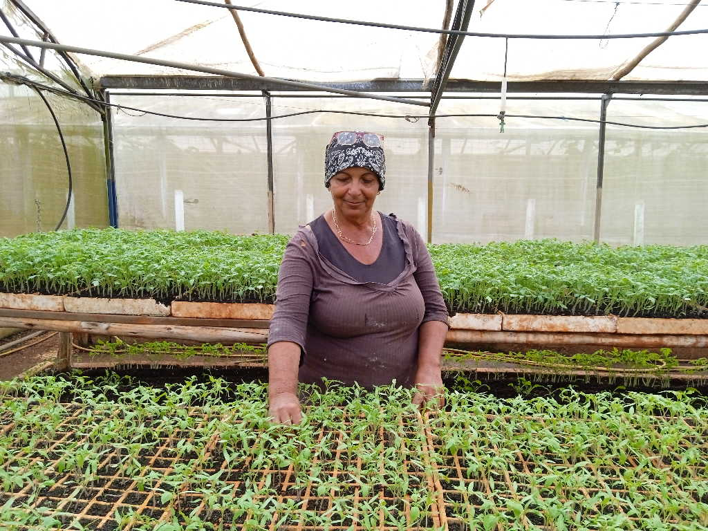 Historias Exitosas de Emprendedores